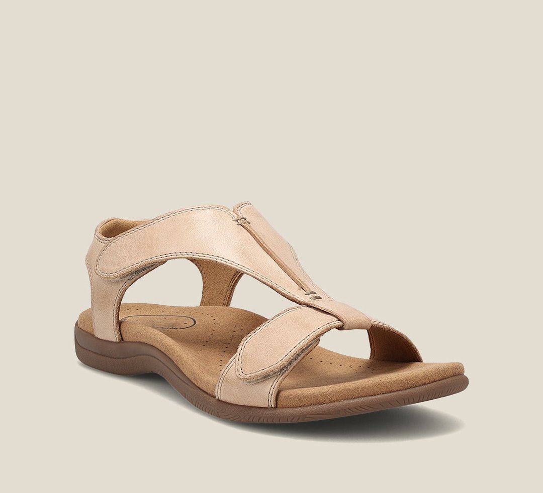 Beige / 41